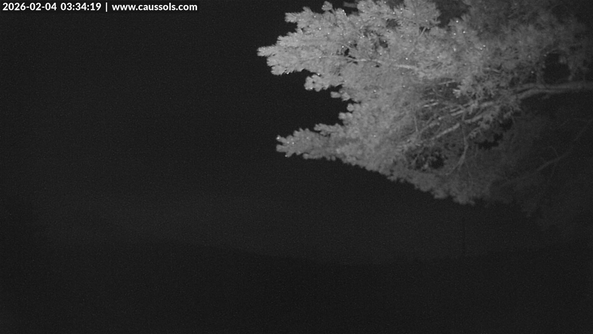 Webcam météo - Plateau de Caussols